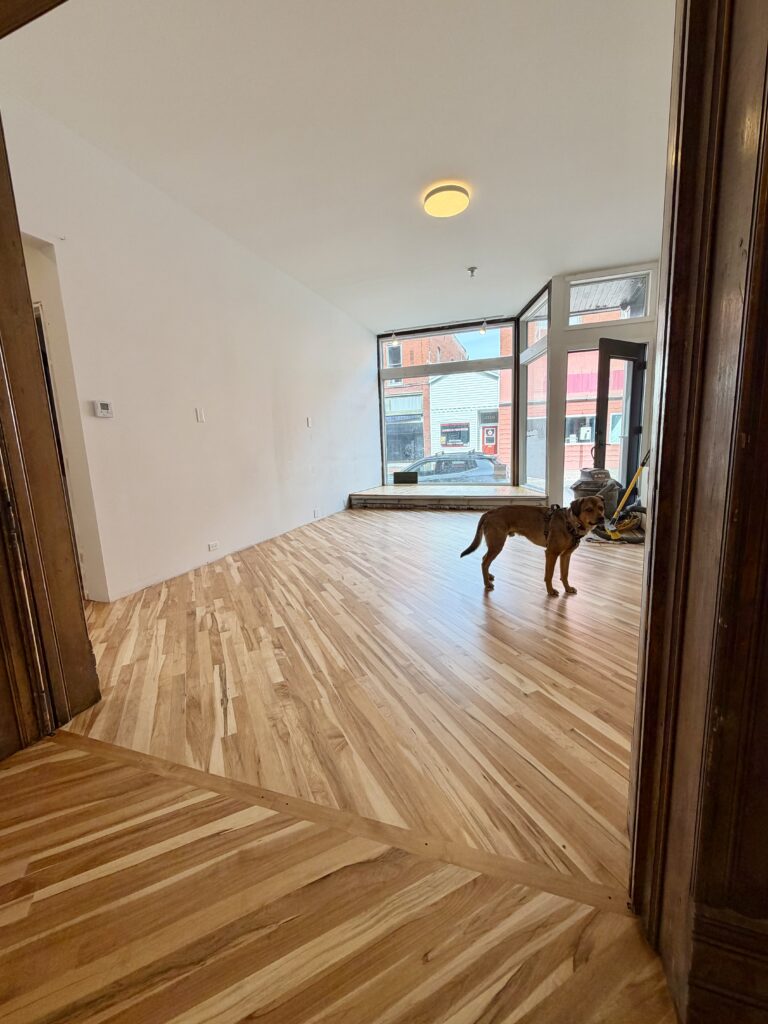 Front space/gallery